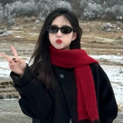 继承者风云