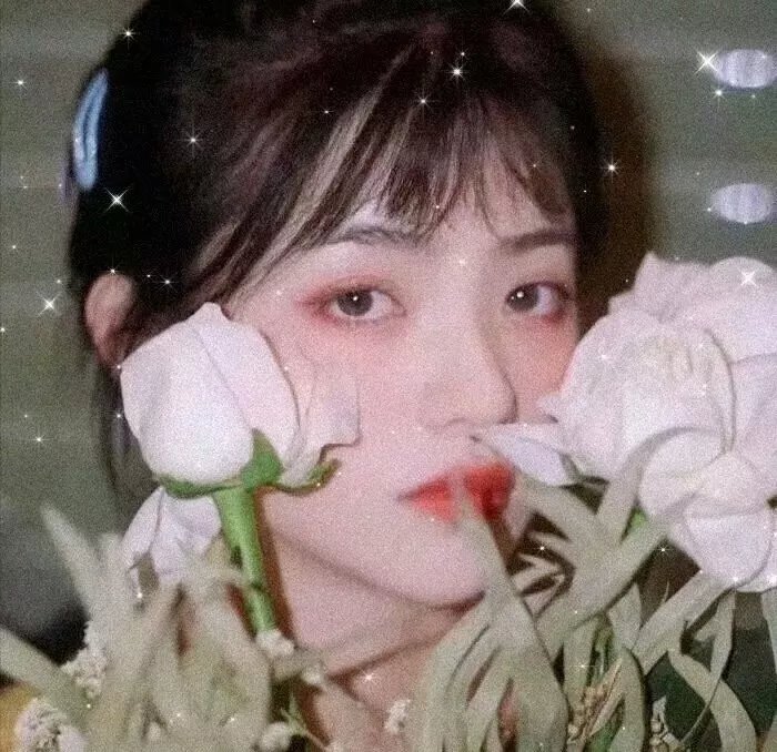 曼谷风月宝鉴